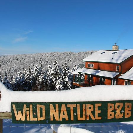 Wild Nature B&B Kelowna Esterno foto