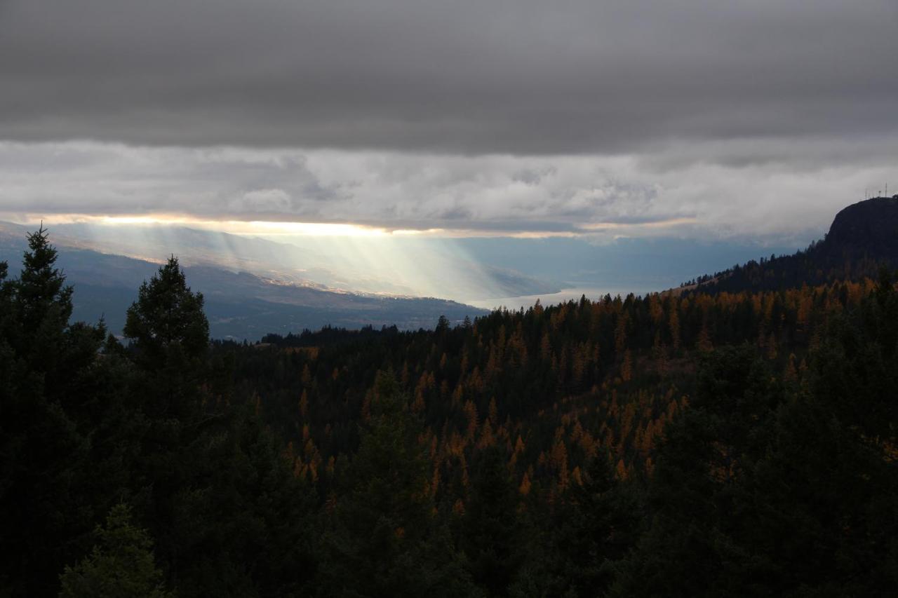 Wild Nature B&B Kelowna Esterno foto