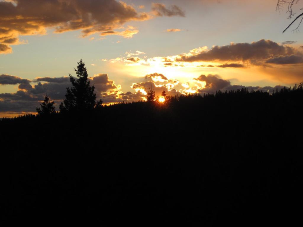 Wild Nature B&B Kelowna Esterno foto