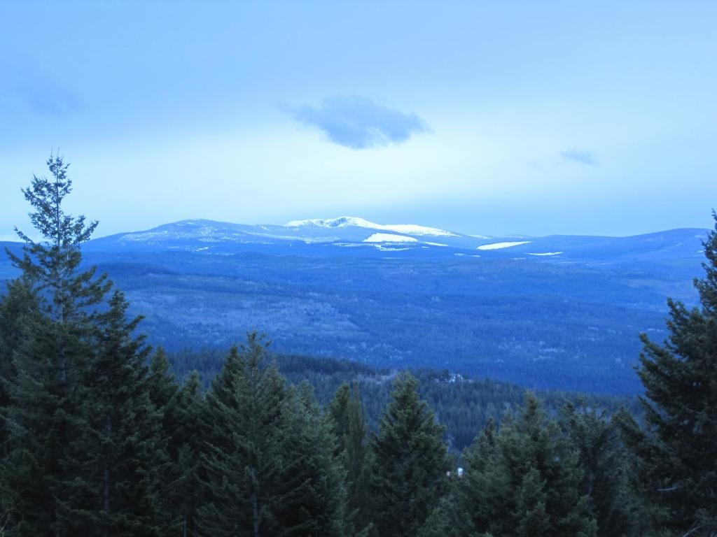 Wild Nature B&B Kelowna Esterno foto