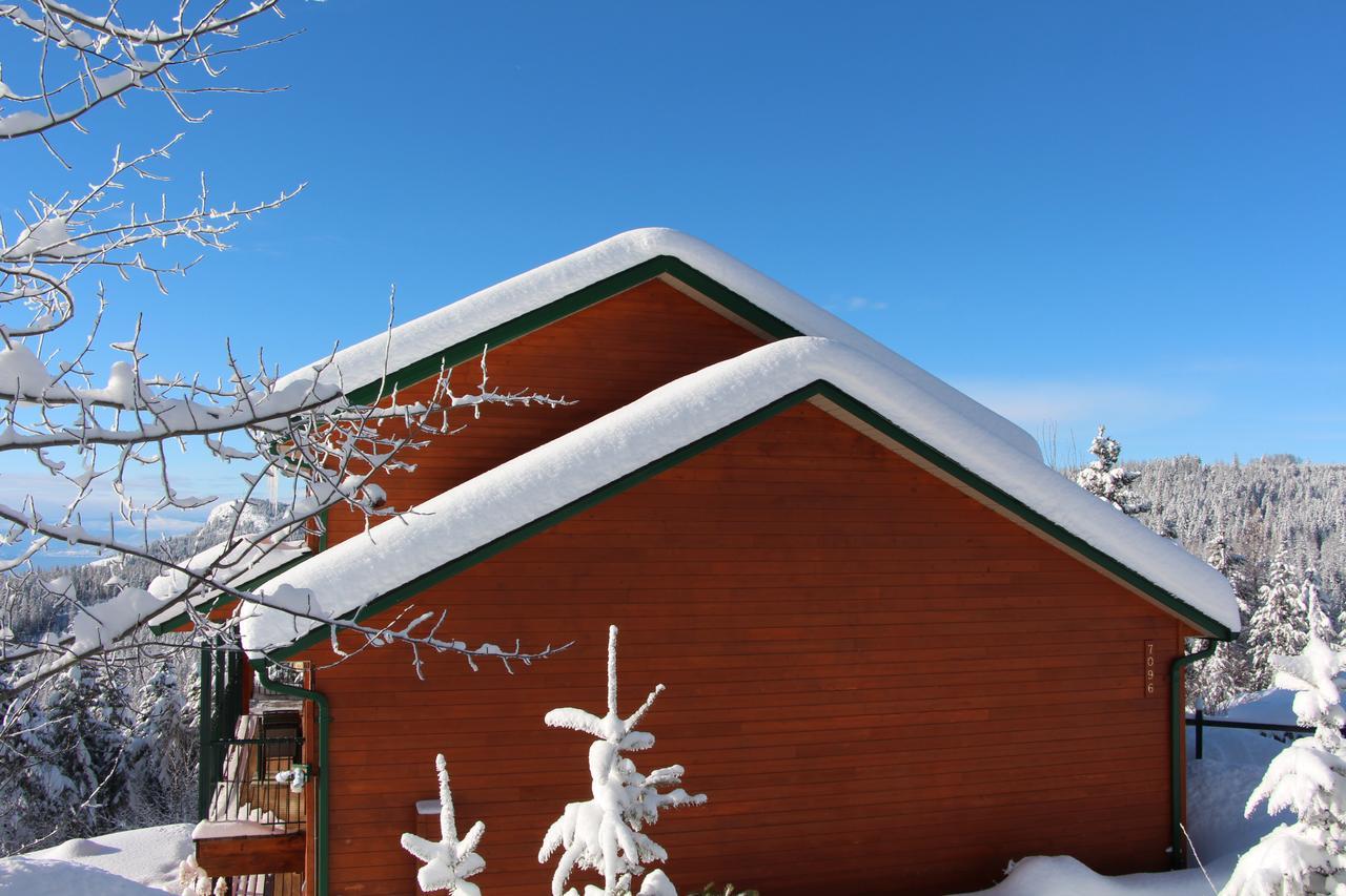Wild Nature B&B Kelowna Esterno foto